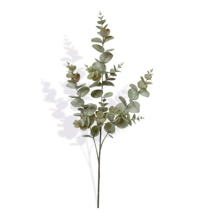 RAMO EUCALIPTO X3 CM74